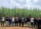 Perhutani Lakukan Monitoring Agroforestry Tebu untuk Pastikan Kepatuhan Pengelolaan Hutan